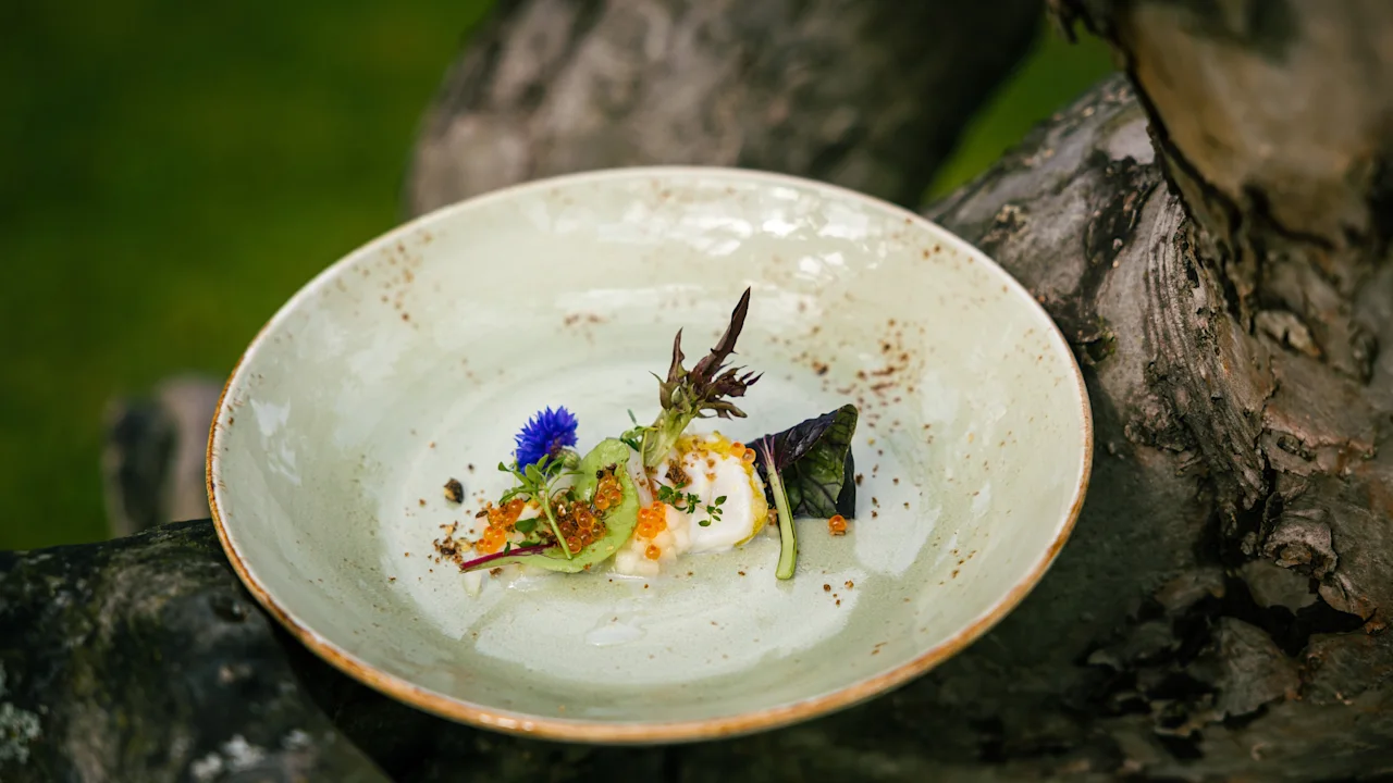 En dekorativ rätt med gourmetmat, med färgglada blommor och gröna blad, på en keramiktallrik placerad på en trädgren utomhus.