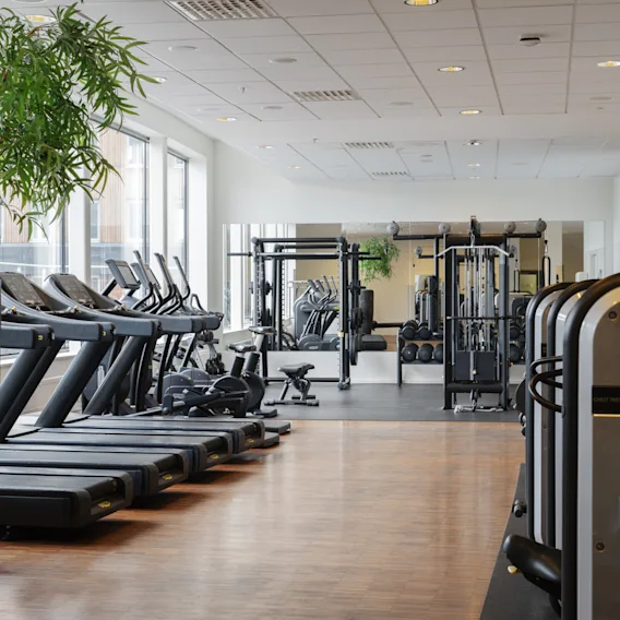 Ett ljust, modernt gym med löpband, styrketräningsmaskiner och stora fönster. 