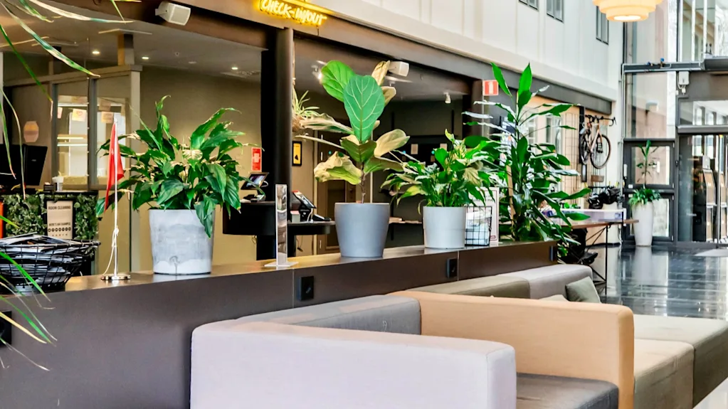 En modern hotellobby med bekväma sittplatser, frodiga gröna växter och en framträdande incheckningsdisk.