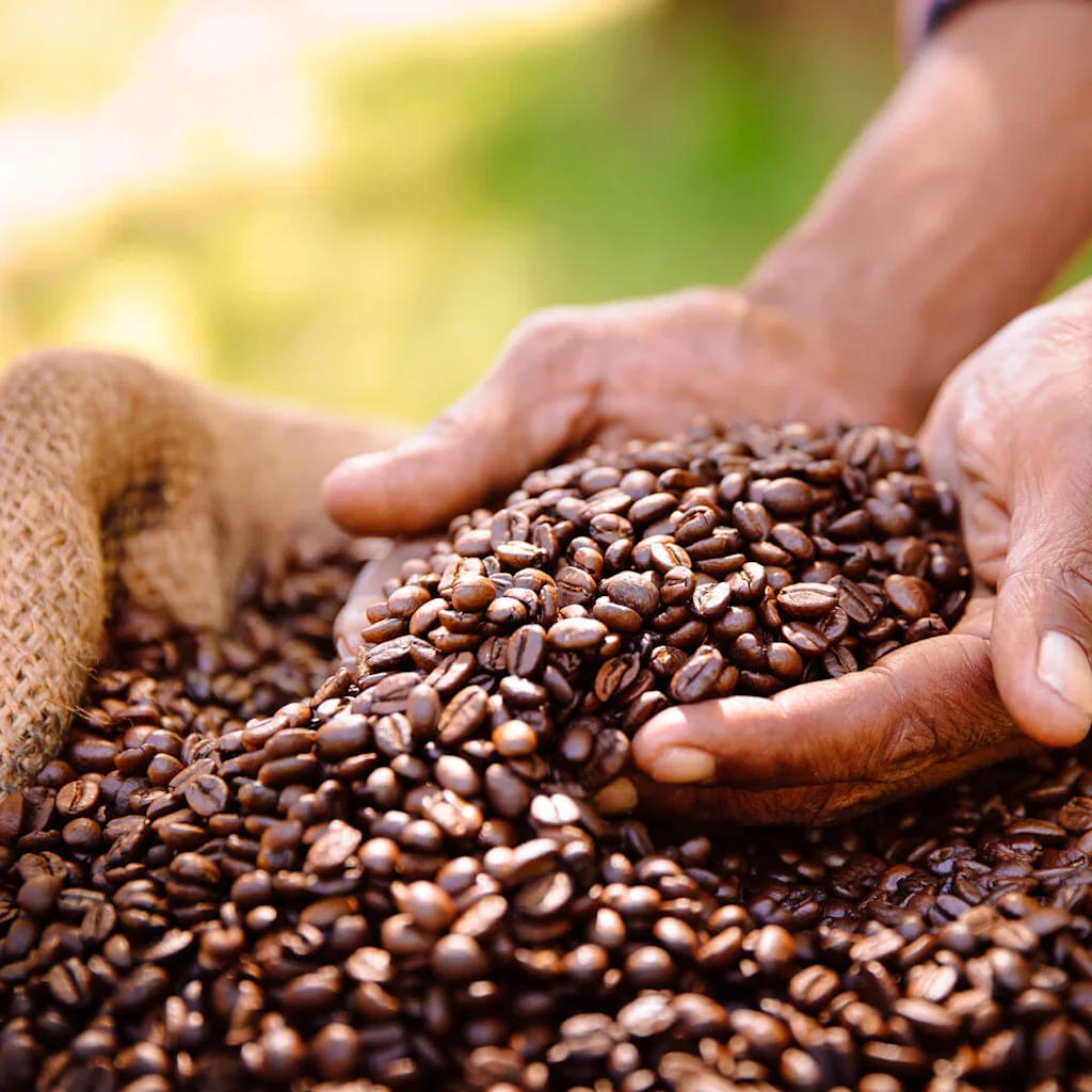 coffee beans
