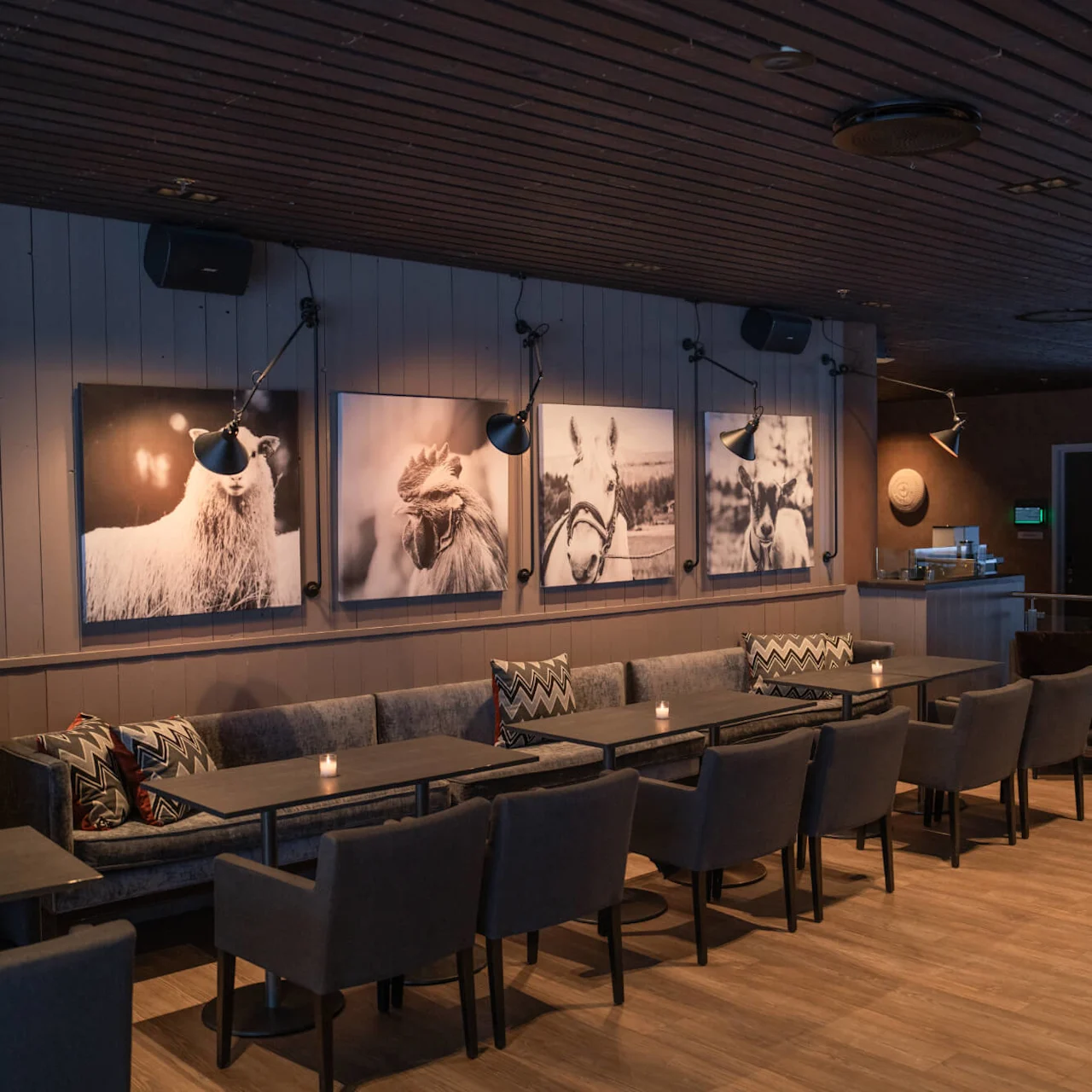 Cozy seating area with dark tables and chairs, surrounded by cushions and lit candles. Animal portraits decorate the wooden wall, creating a warm and inviting atmosphere.