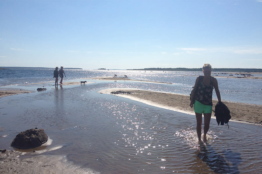6 summer excursions you must go on in Luleå | Strawberry