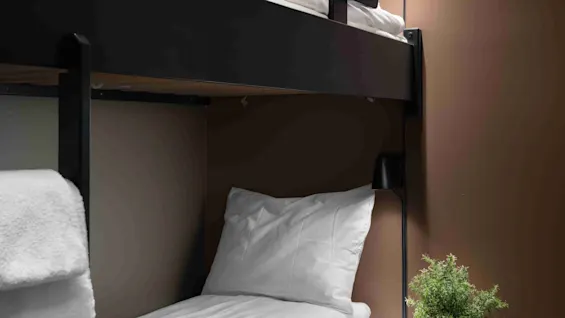 Bunk bed with neatly made white bedding, situated against a brown wall. A small table beside the lower bed holds a green potted plant. A black wall lamp is mounted nearby.