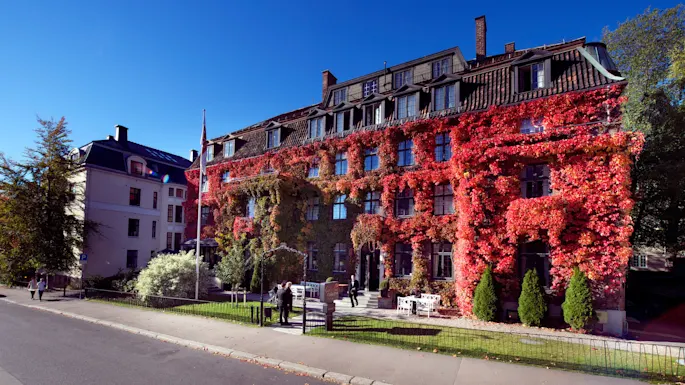 A building covered in red ivy on a sunny day with clear skies and people outside.