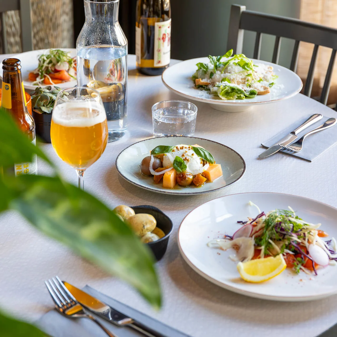 A dining table holds plated dishes of salad and melon with burrata, surrounded by beer bottles, a wine bottle, and a carafe of water in a well-lit room.