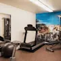 A well-equipped gym at Home Hotel Kung Oscar with a treadmill, weights, and exercise balls, featuring a scenic mural.