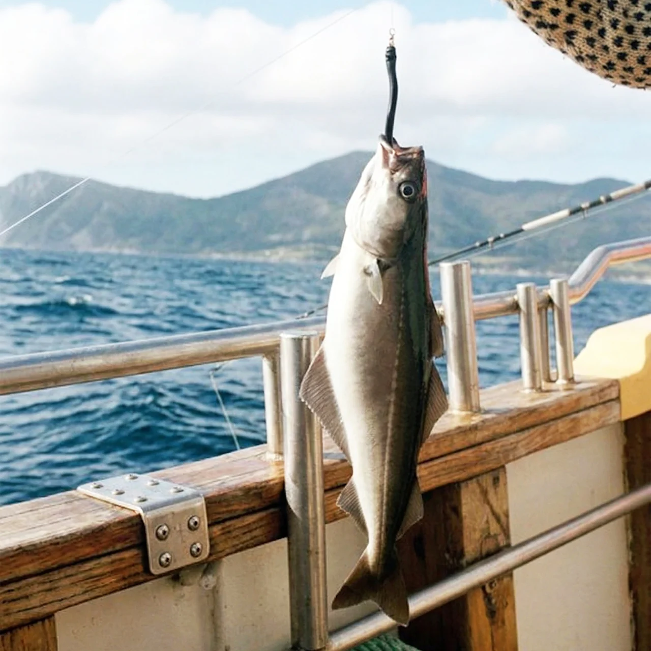 En nyfångad fisk hänger från en fiskelina över relingen på en båt, med havet och berg i bakgrunden.