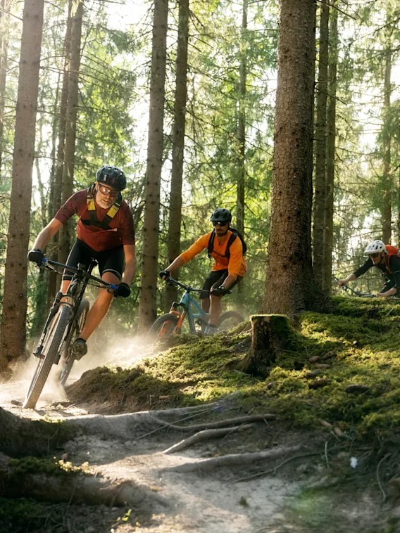 Cykelentusiaster cyklar mountainbike nerför en solbelyst, skogsklädd stig och manövrerar runt trädens rötter och mossbelagd mark.