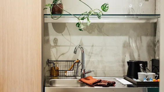 Et kompakt køkkenområde med en metalkran og brune klude på bordet. Ovenover står der en potteplante på en glashylde med glas. I nærheden er der en kedel og kopper.