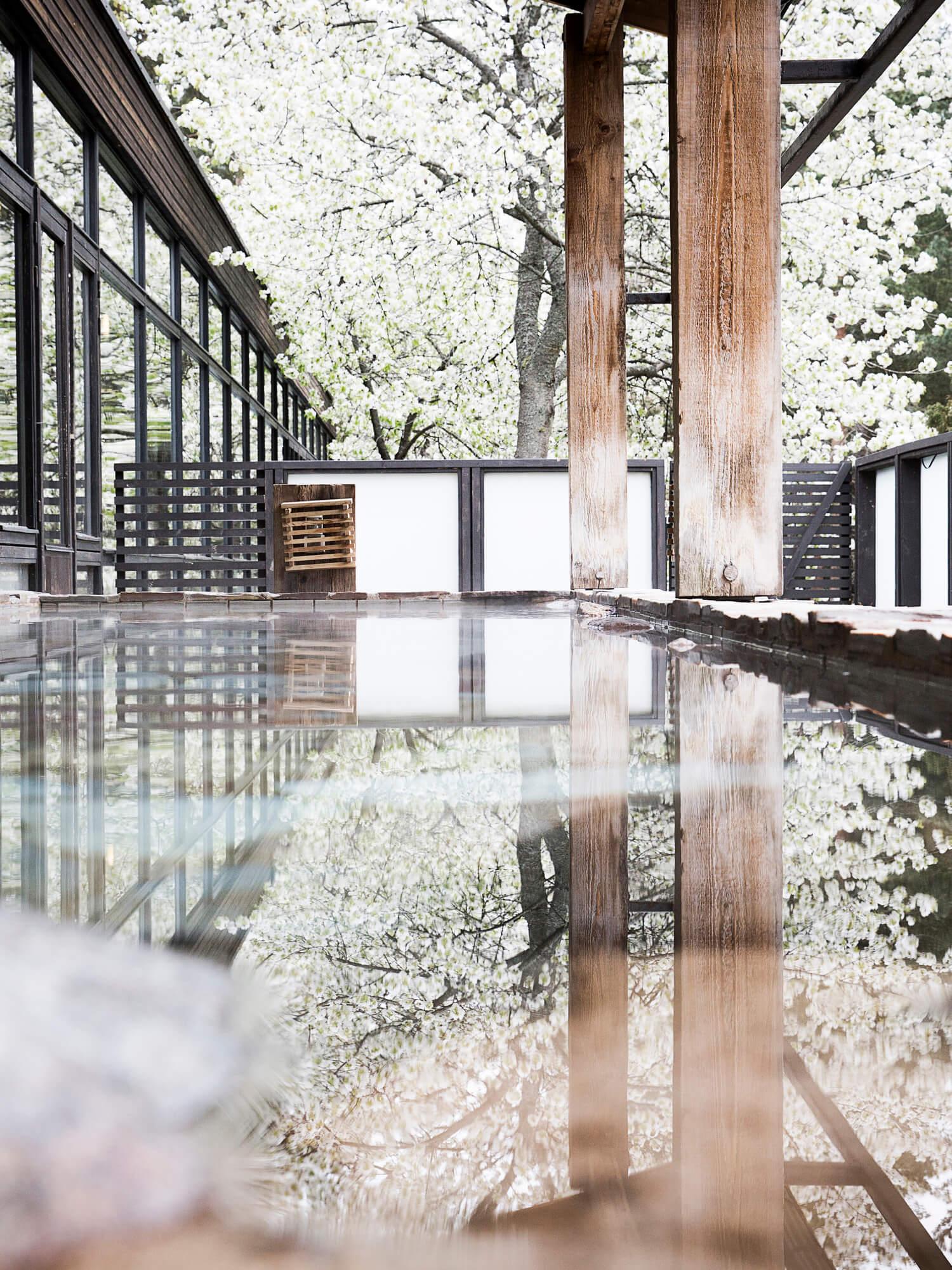 Trearkitektur med reflekterende gulv fanger blomstrende trær; fredelig, muligens japansk-stil bygning.