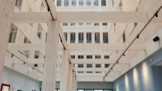 A spacious, modern atrium with light wood beams and multiple floors of windows, featuring a comfortable seating area with plants.