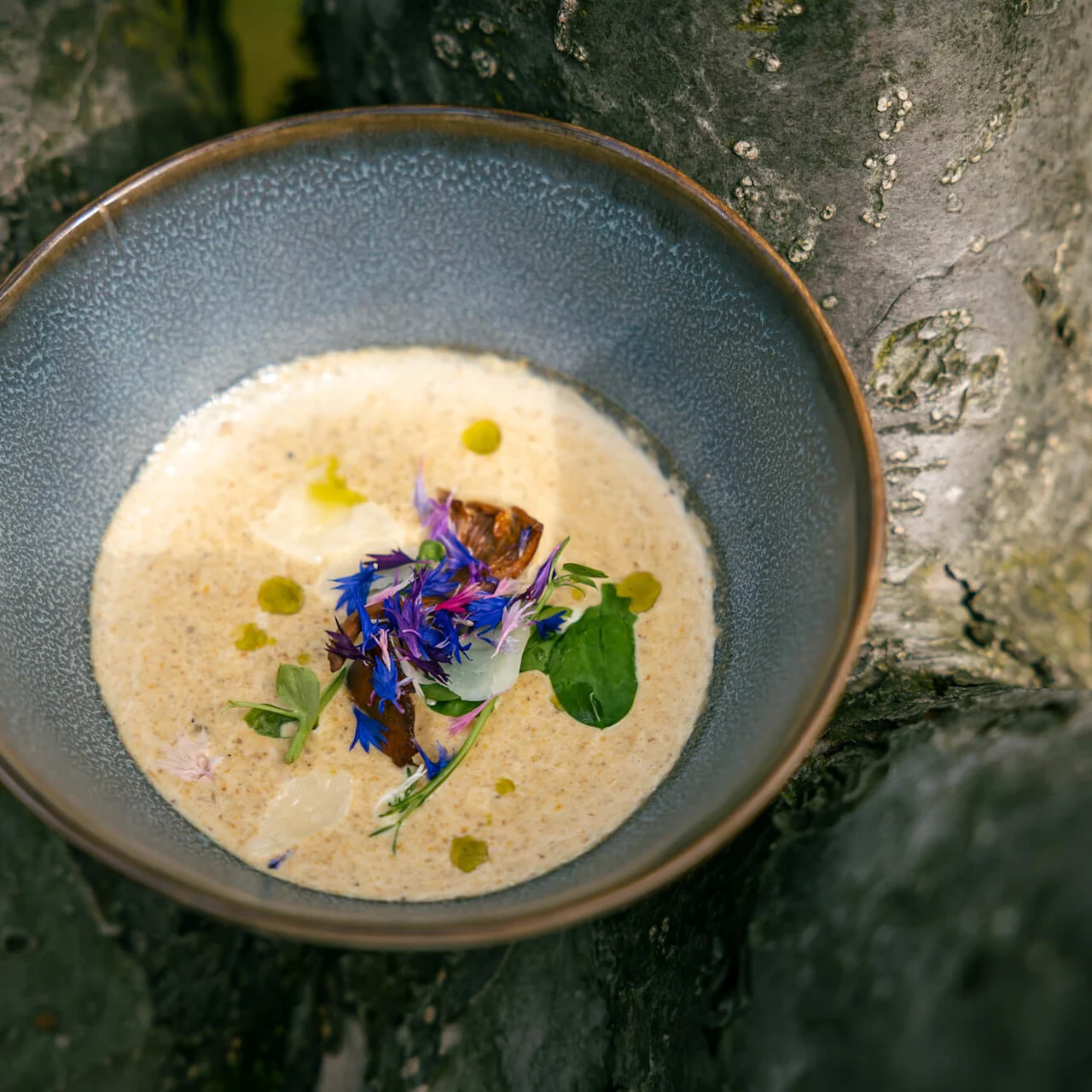 En bolle med kremet suppe pyntet med livlige lilla og grønne urter, plassert på treverk utendørs.