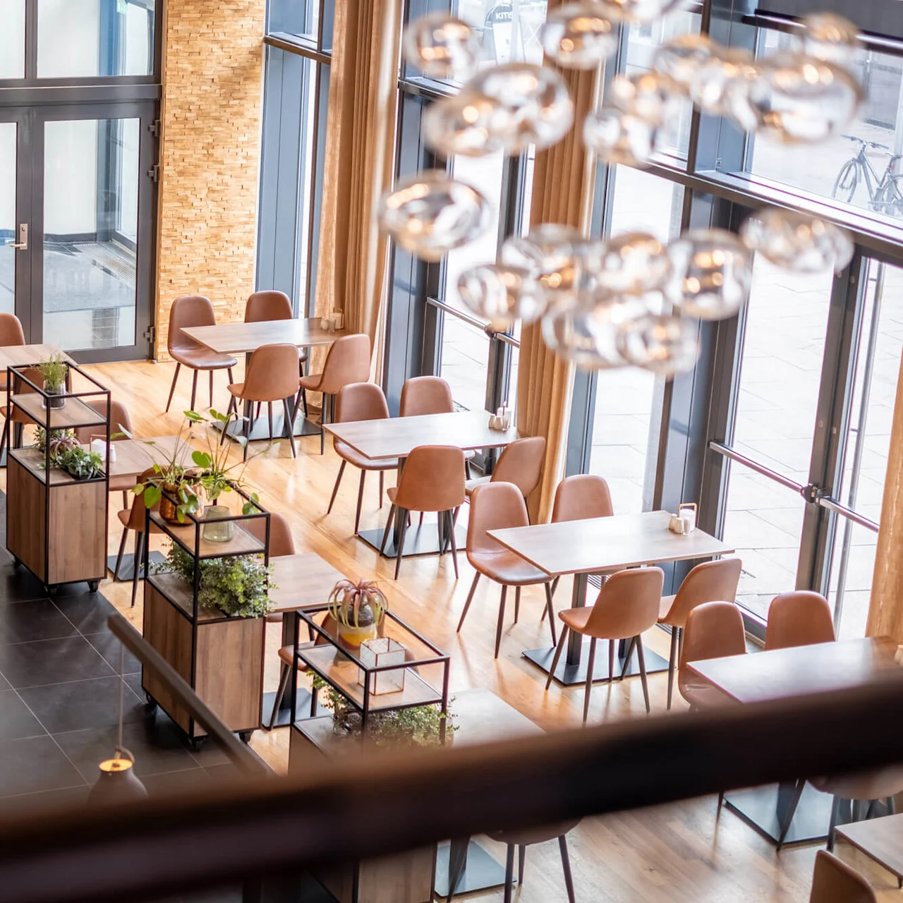 Cafeteria-style dining area with tables and chairs, adorned with plant-filled wooden shelving units; sunlight streams through large windows, enhancing the modern aesthetic with a warm, inviting atmosphere.