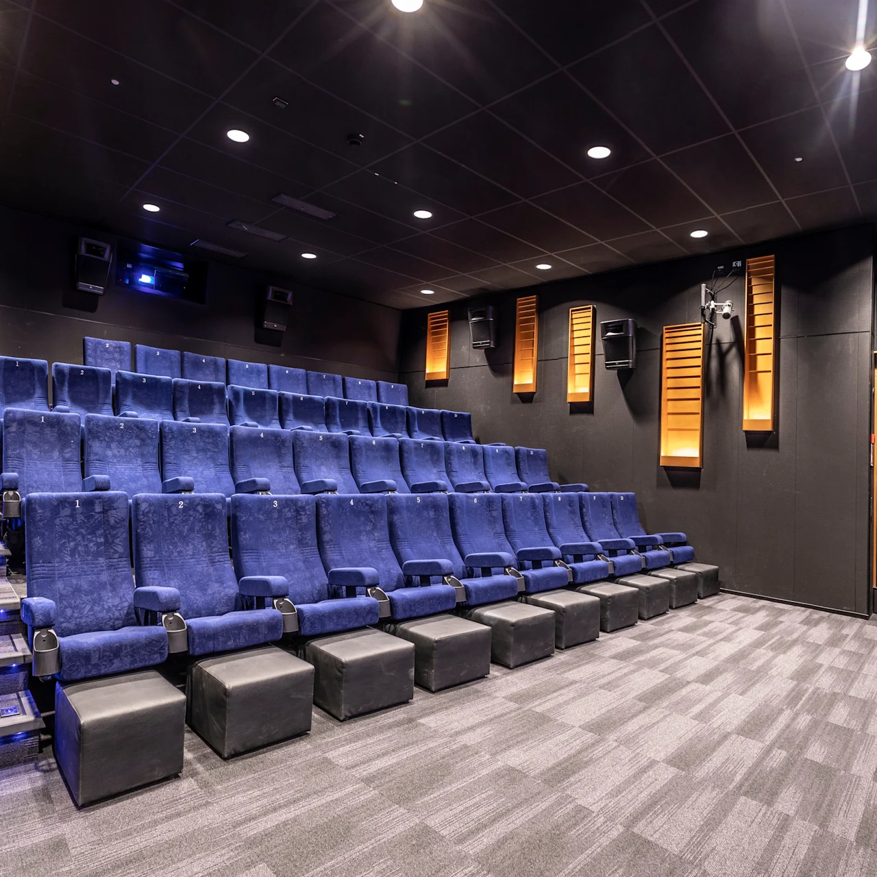 Blue theater seats are arranged in rows, facing a large screen in a dimly lit theater. The room has a black ceiling with spotlights and gray carpeted flooring.