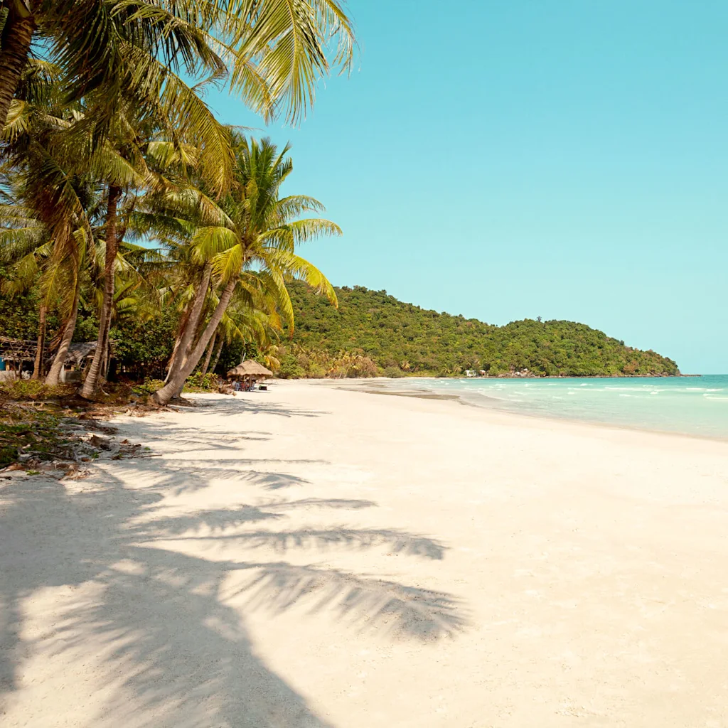 Wonderful beach and palms in Thailand