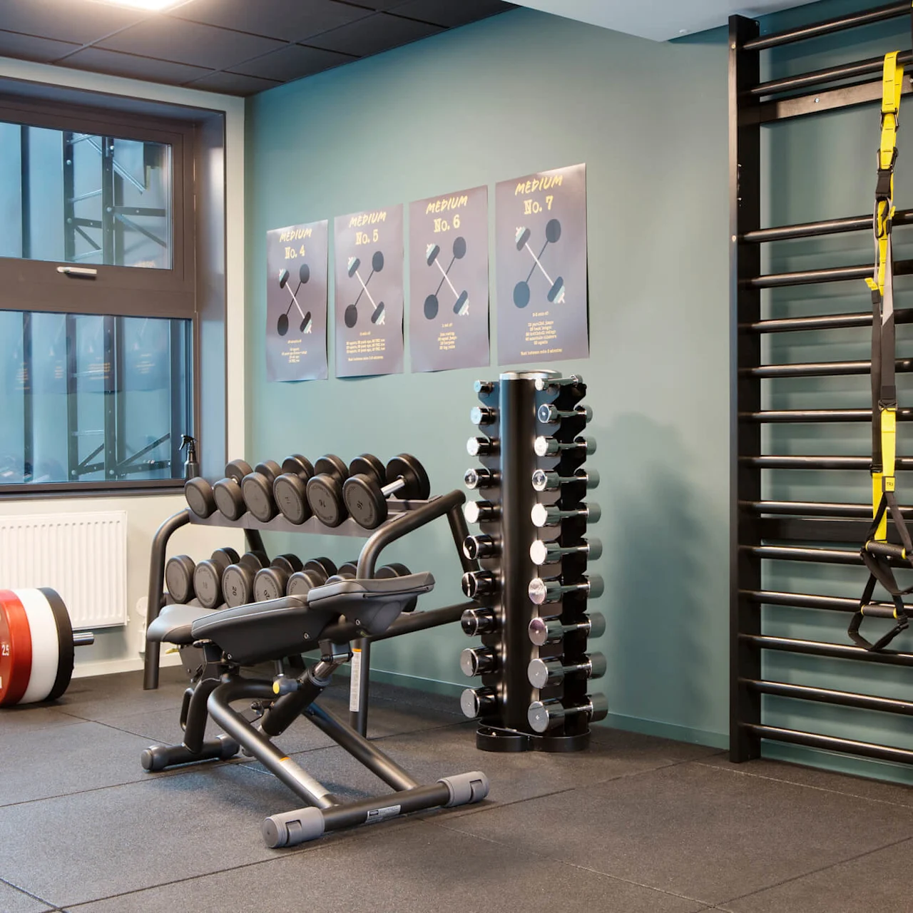 Ett gym med hantlar, en väggstege och träningsdiagram.