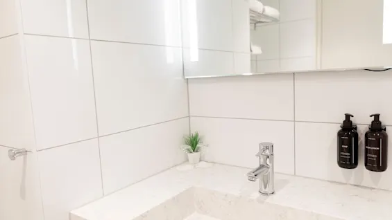A modern bathroom sink area at Home Hotel Grand Bodø with a faucet, a small plant, and wall-mounted dispensers labeled SOAP and BODY LOTION.