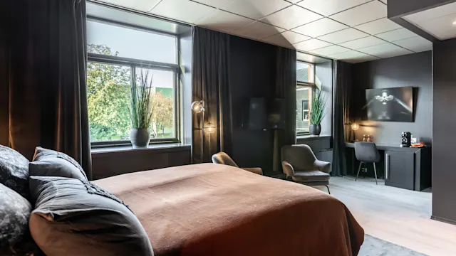En seng med brunt sengetøy står i et moderne rom. To store vinduer med planter slipper inn naturlig lys. Et skrivebord med en stol og en veggmontert TV fullfører den koselige innstillingen.