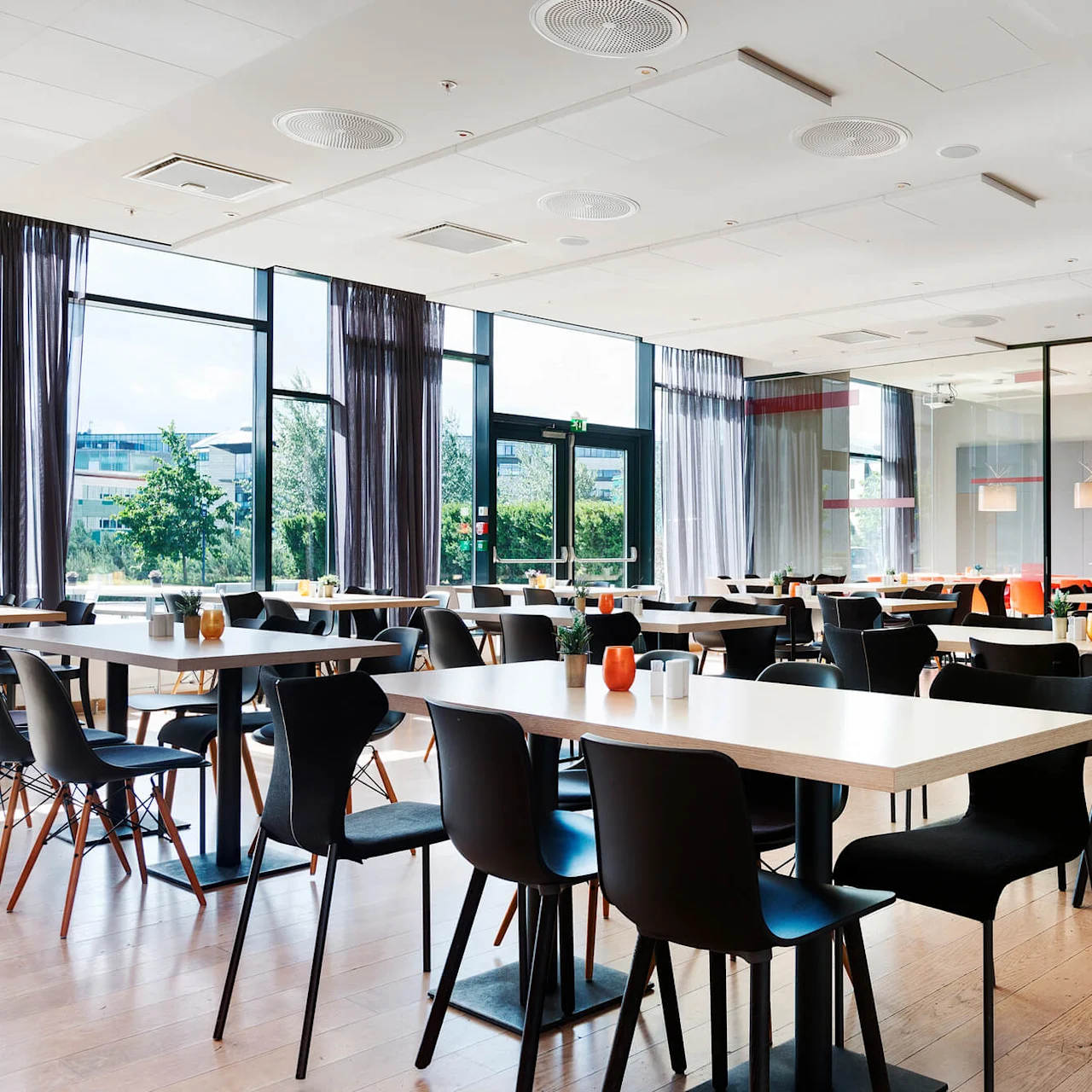 Empty dining area with wooden tables and black chairs, bathed in natural light from large windows. Decorative plants and light fixtures enhance a modern, inviting ambiance.
