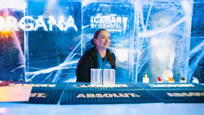 ICEBAR - bartender