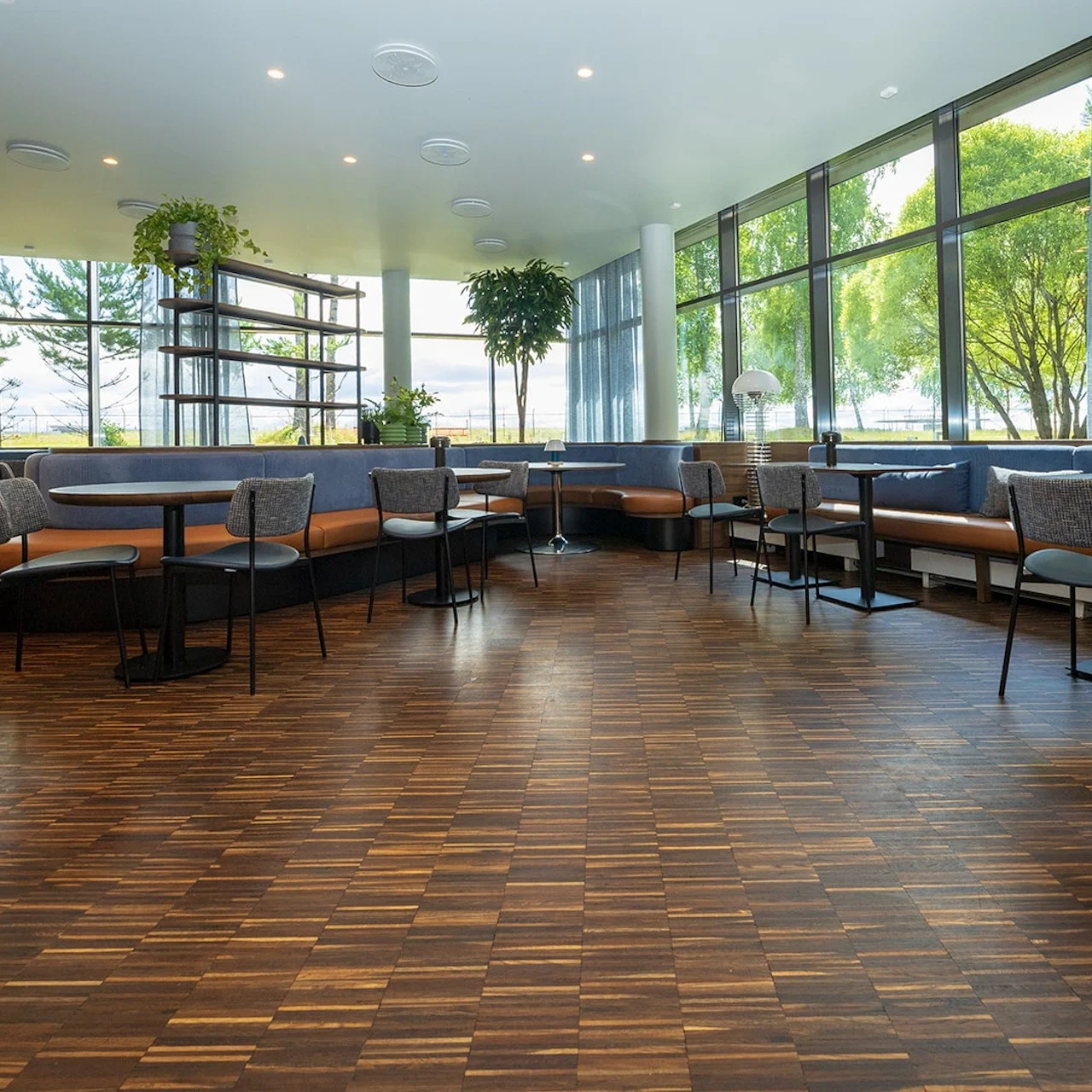 A modern, spacious cafeteria with wooden flooring and large windows, featuring tables and cushioned chairs arranged around the room. Indoor plants and natural light create a welcoming atmosphere.