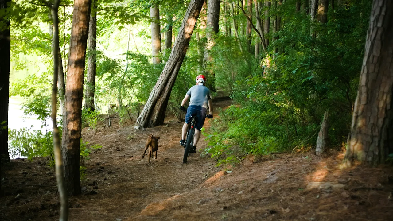 A person mountain biking on a forest trail with a dog running beside them, a body of water visible in the background.