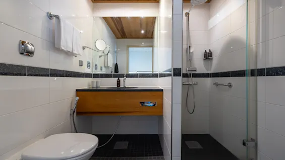 A well-appointed bathroom with a warm wooden ceiling, sleek white tiles, a functional vanity area, and a refreshing walk-in shower.
