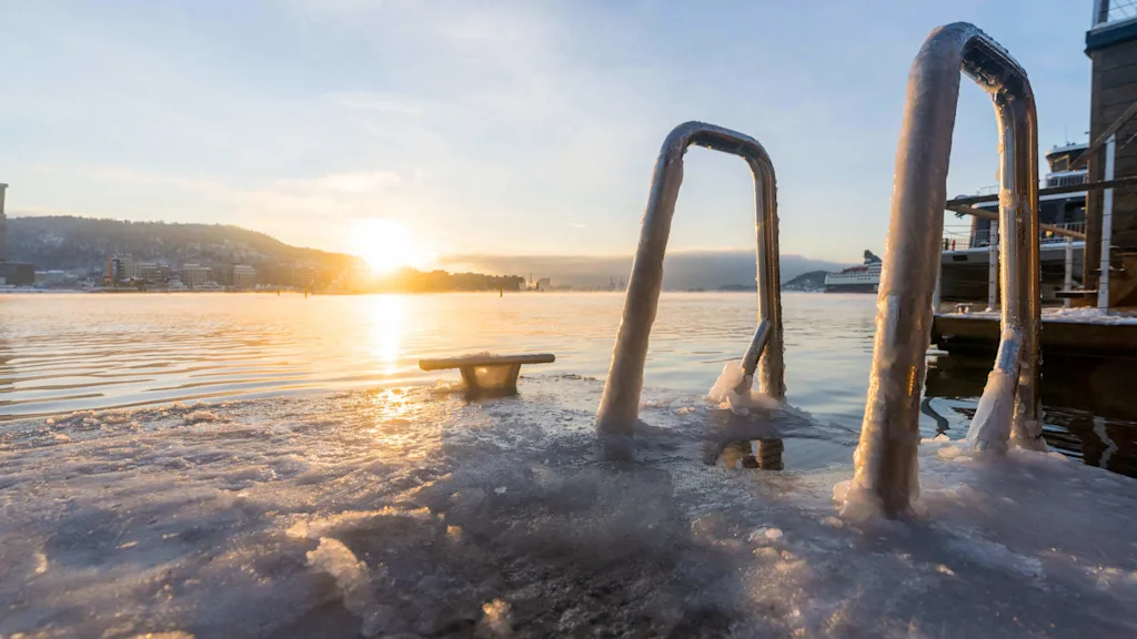 A ladder covered in ice in the Oslofjord.