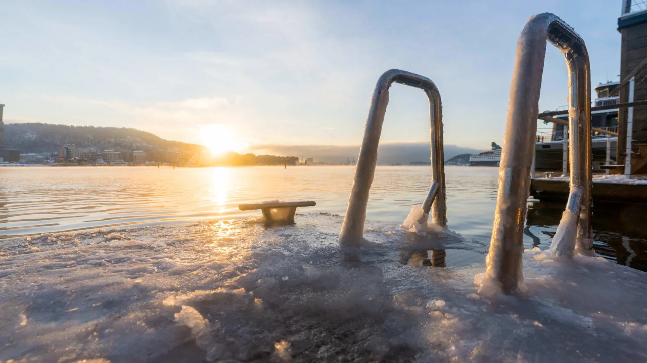 En stege fastfrusen av is vid Oslofjorden.