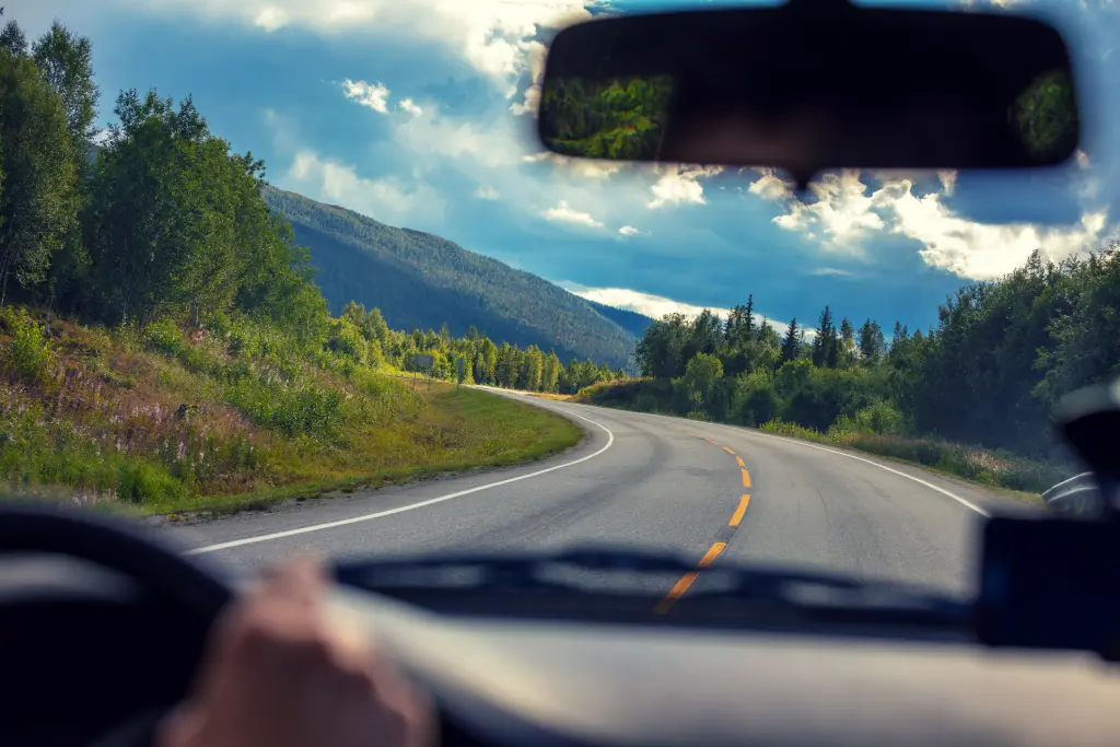 Road view from car