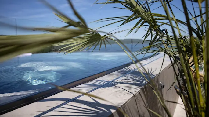 A palm frond overlaps a view of an outdoor swimming pool, casting shadows on the concrete edge. The pool reflects the clear blue sky and distant hills.