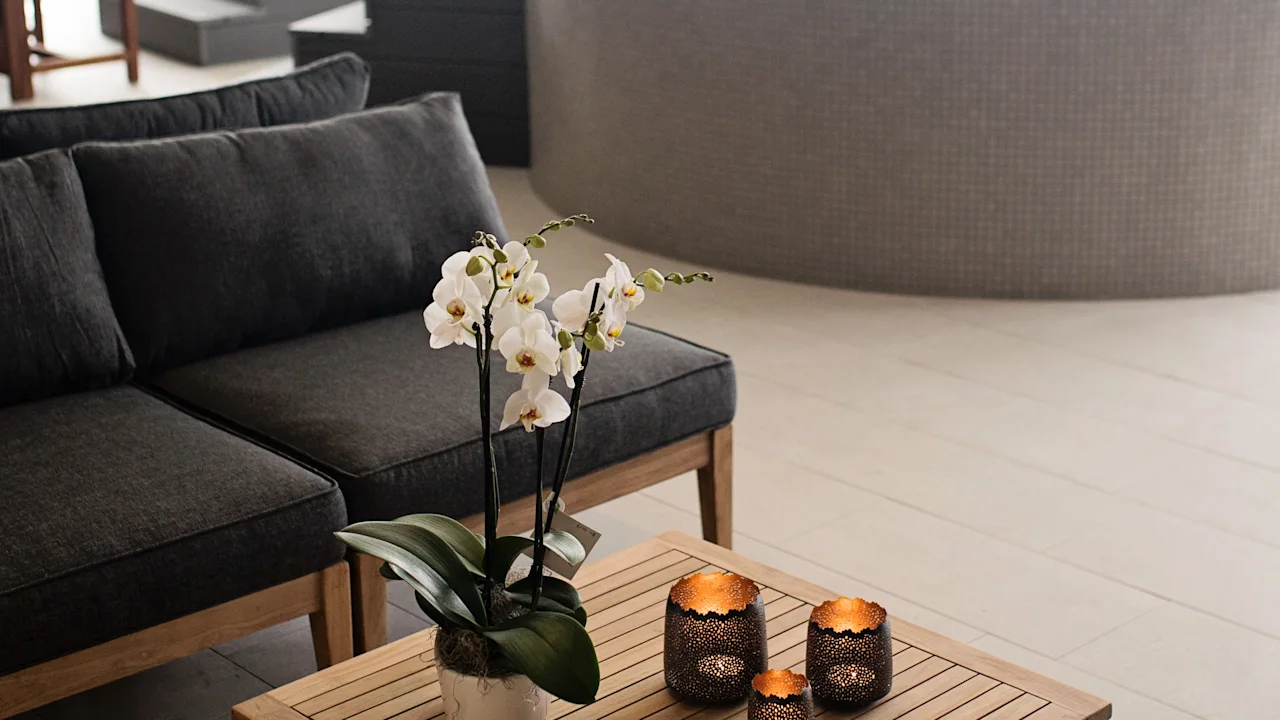 Quality Hotel Oresund – Rooftop Spa. En rolig spa-lounge med en komfortabel sofa, salongbord med orkideer og et boblebad.