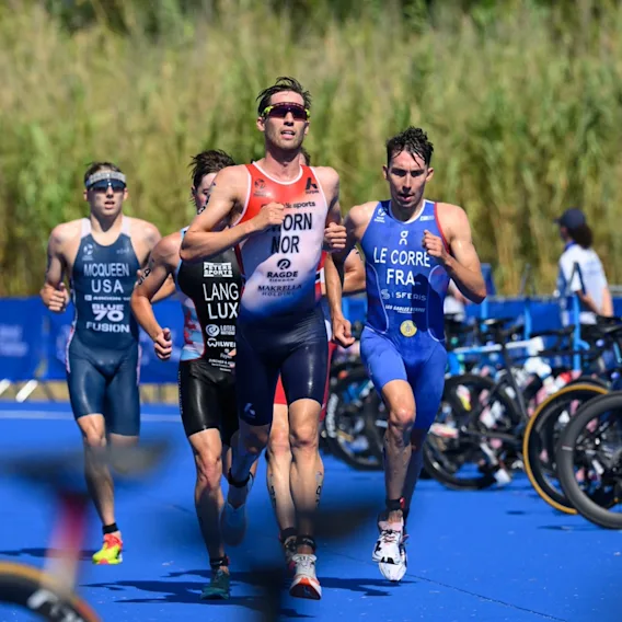 Norges Triatlonforbund