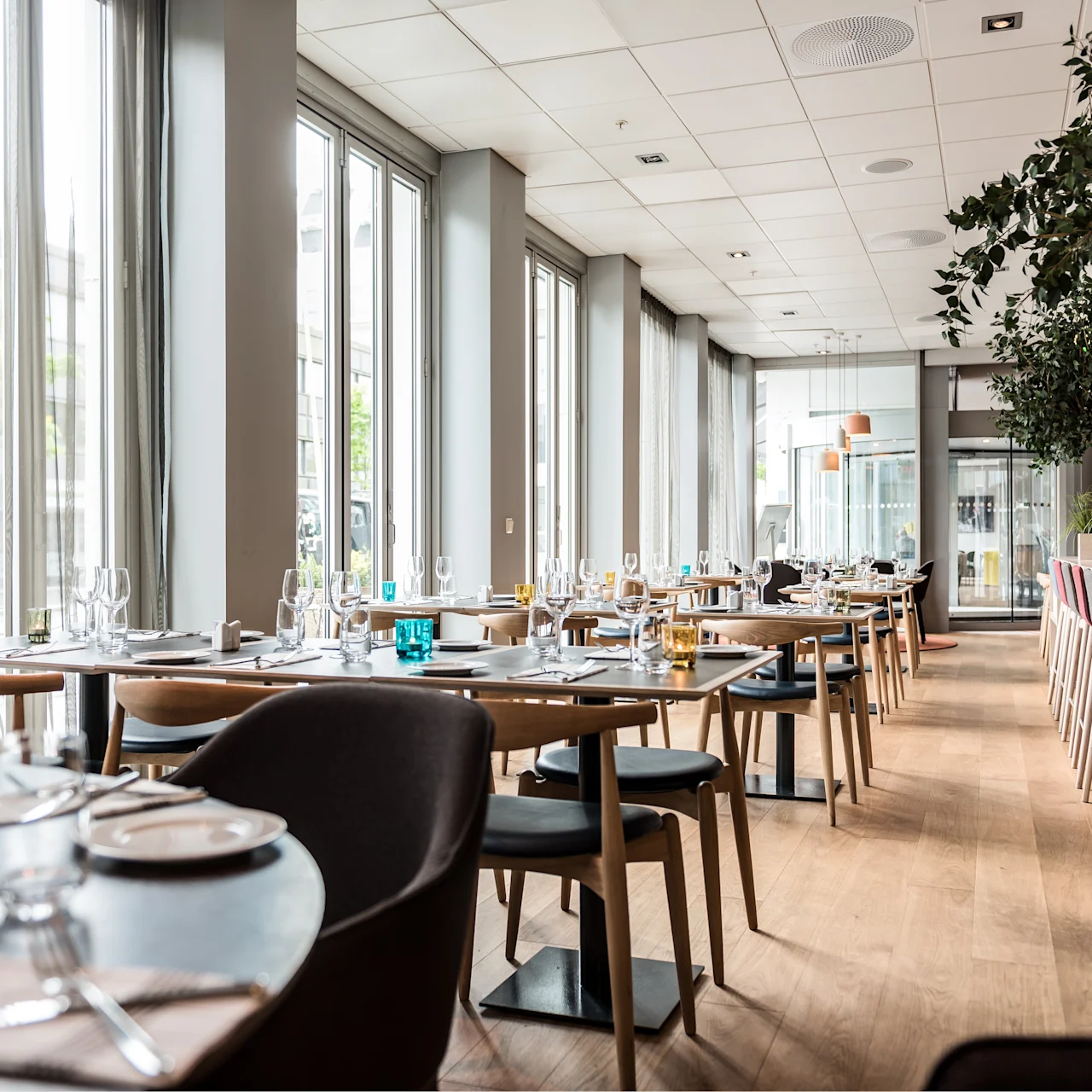 Ravintola, jossa katetut pöydät, tyhjät lautaset ja lasit, tilavassa, modernissa ruokailutilassa suurilla ikkunoilla ja ruukkukasveilla.