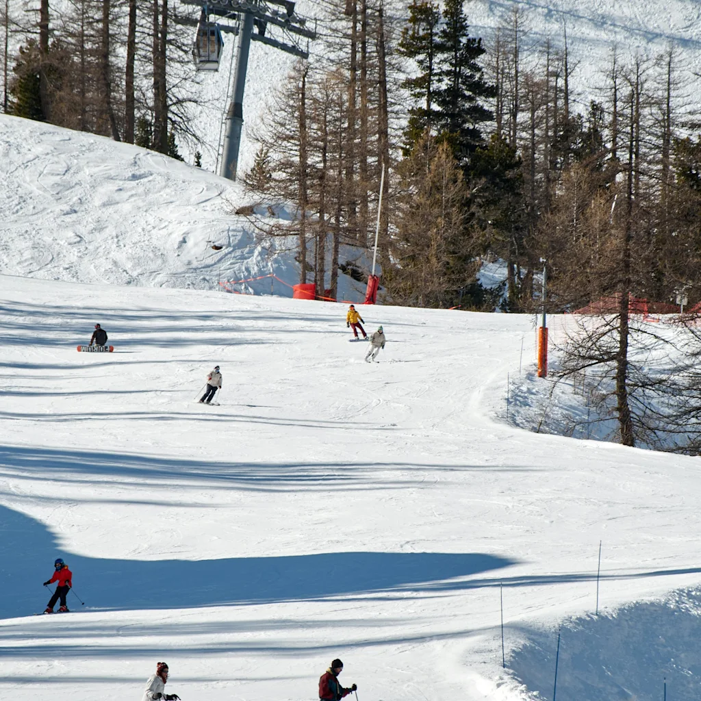 Folk nyter en solrik dag med ski og snowboard ned en snødekt fjellside med trær og en skiheis.