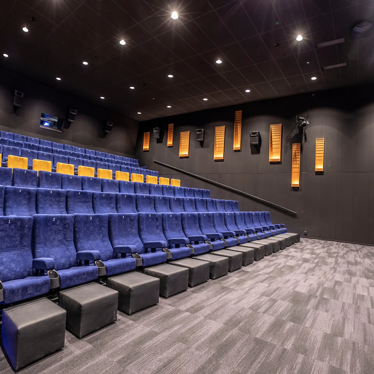 A movie theater with rows of empty blue seats arranged on an incline. A large screen on the right displays "Biorex." Walls are adorned with acoustic panels.