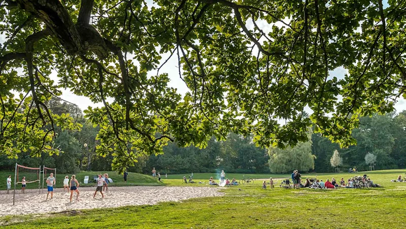 Azaleadalen, Slottsskogen. Foto: Steampipe Production Studio AB/Göteborg&co