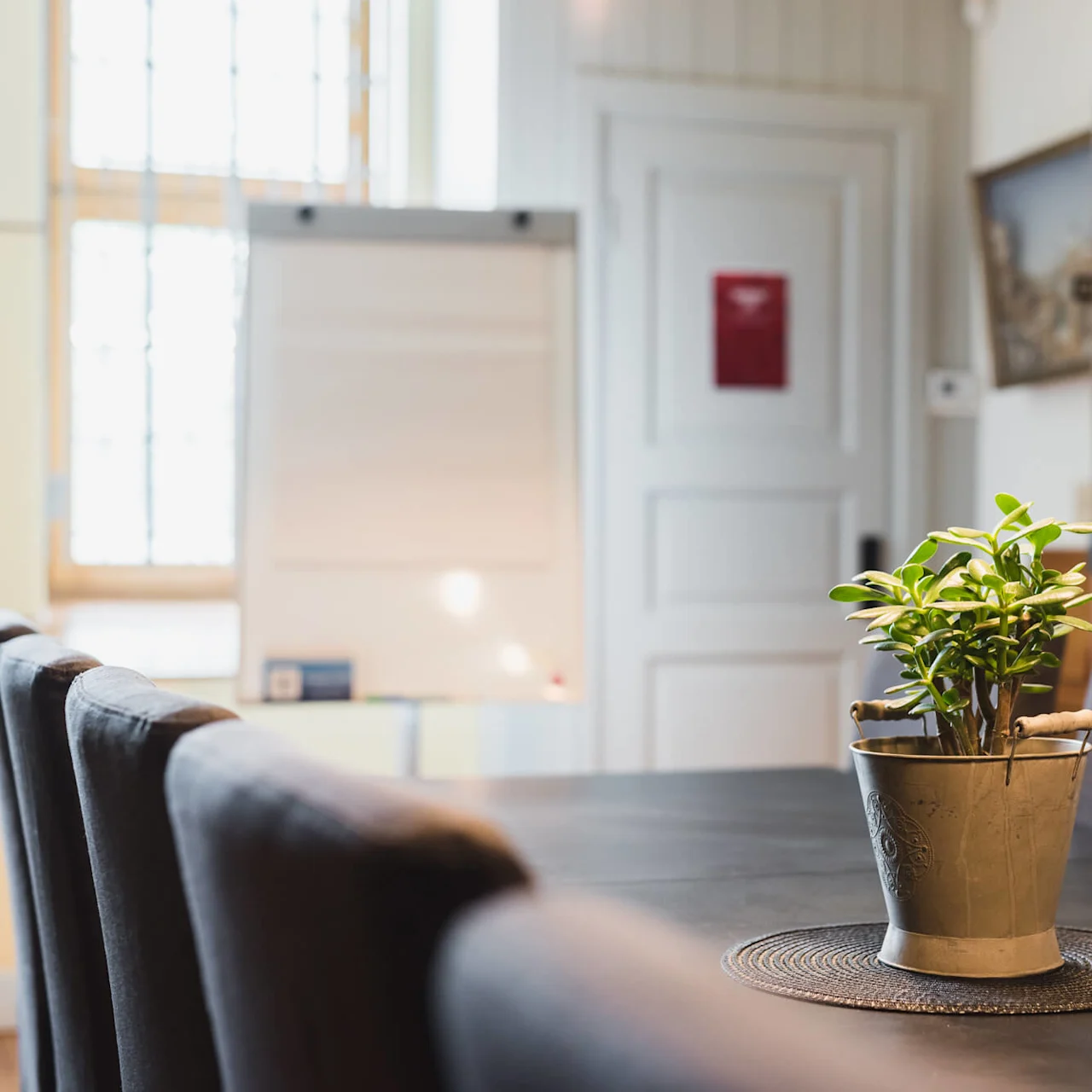 A potted plant on a conference table in a well-lit room with chairs, a whiteboard, and a door.