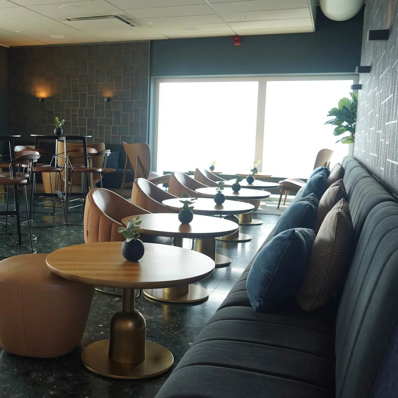 Moderne lounge; bord og stoler ordnet pent, frodige potteplanter på bordene; store vinduer lyser opp koselig, sofistikert interiør.
