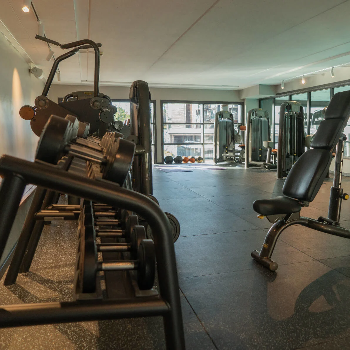 A row of dumbbells on a rack is set in a modern gym filled with various exercise machines and large windows allowing natural light in.