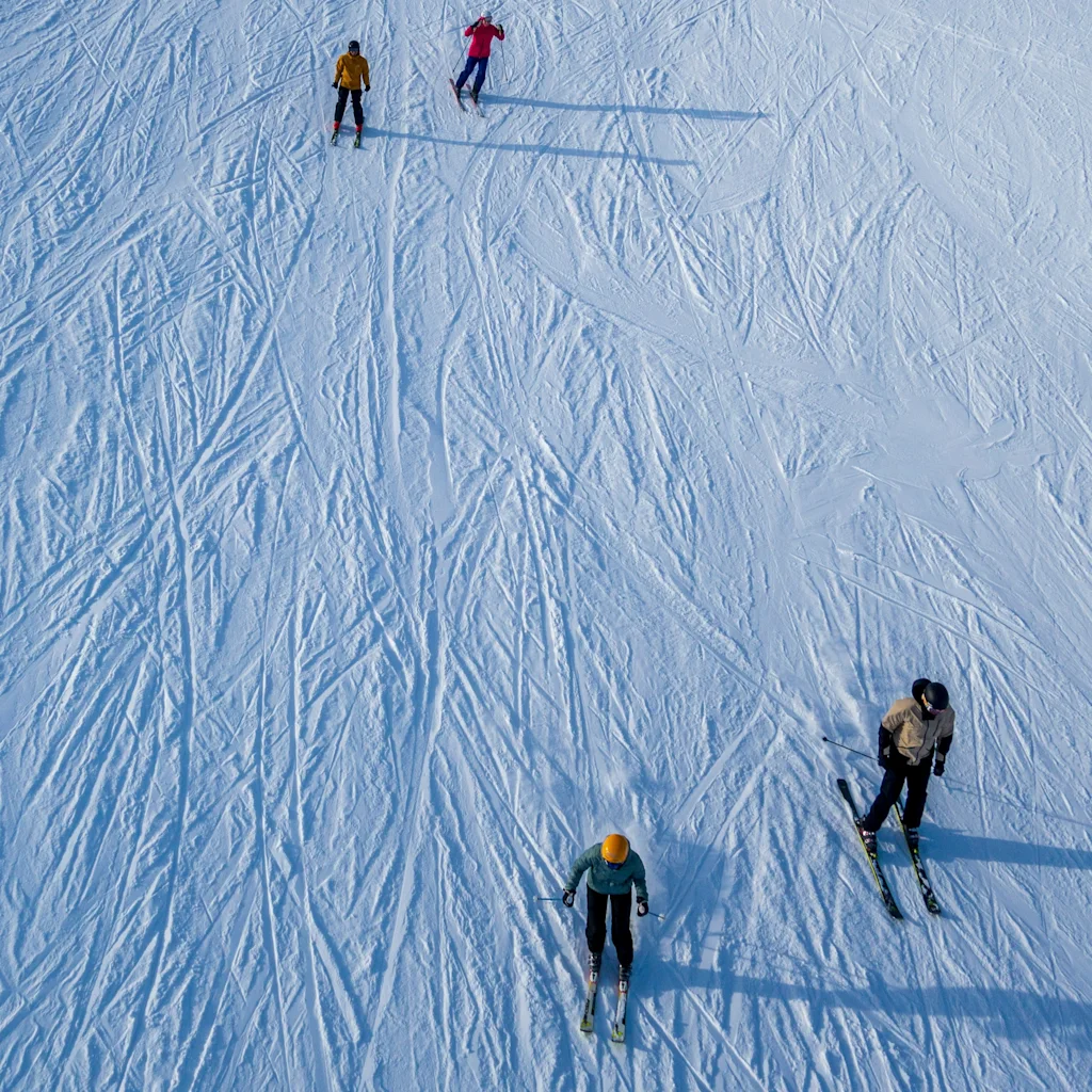 Folk står på ski ned ad en sneklædt bjergskråning og efterlader spor i den friske sne på en solrig dag.