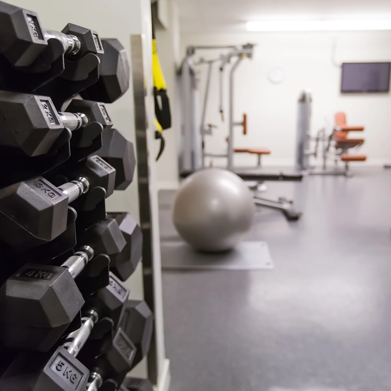 Dumbbells rest on a rack, surrounded by gym equipment like a stability ball, treadmill, and weight machines. The setting is a well-lit, organized fitness room.