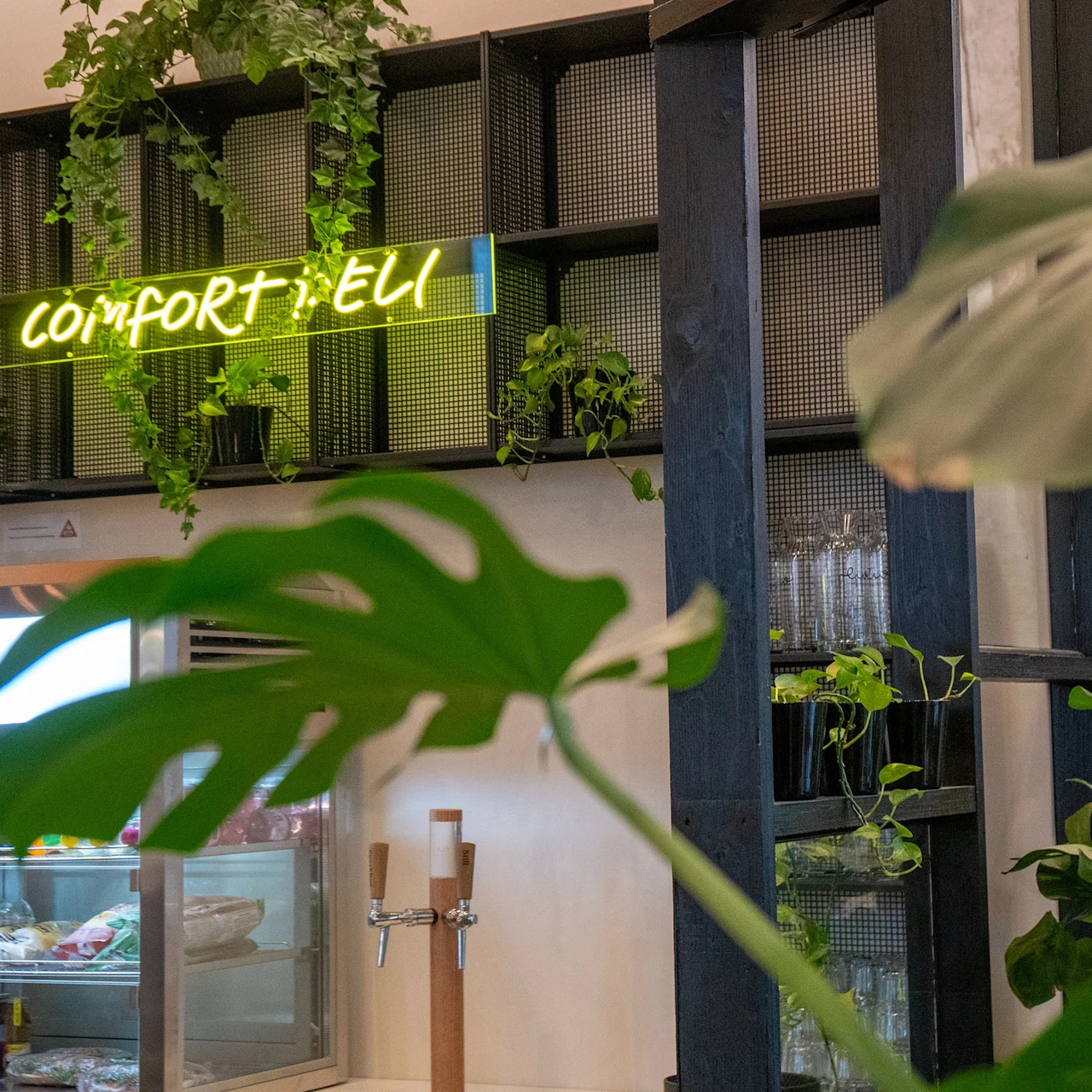 A neon sign reads "COMFORT + ELI" on a shelf with plants. Below, a glass display holds food items. The space is lush with greenery, creating a cozy ambiance.