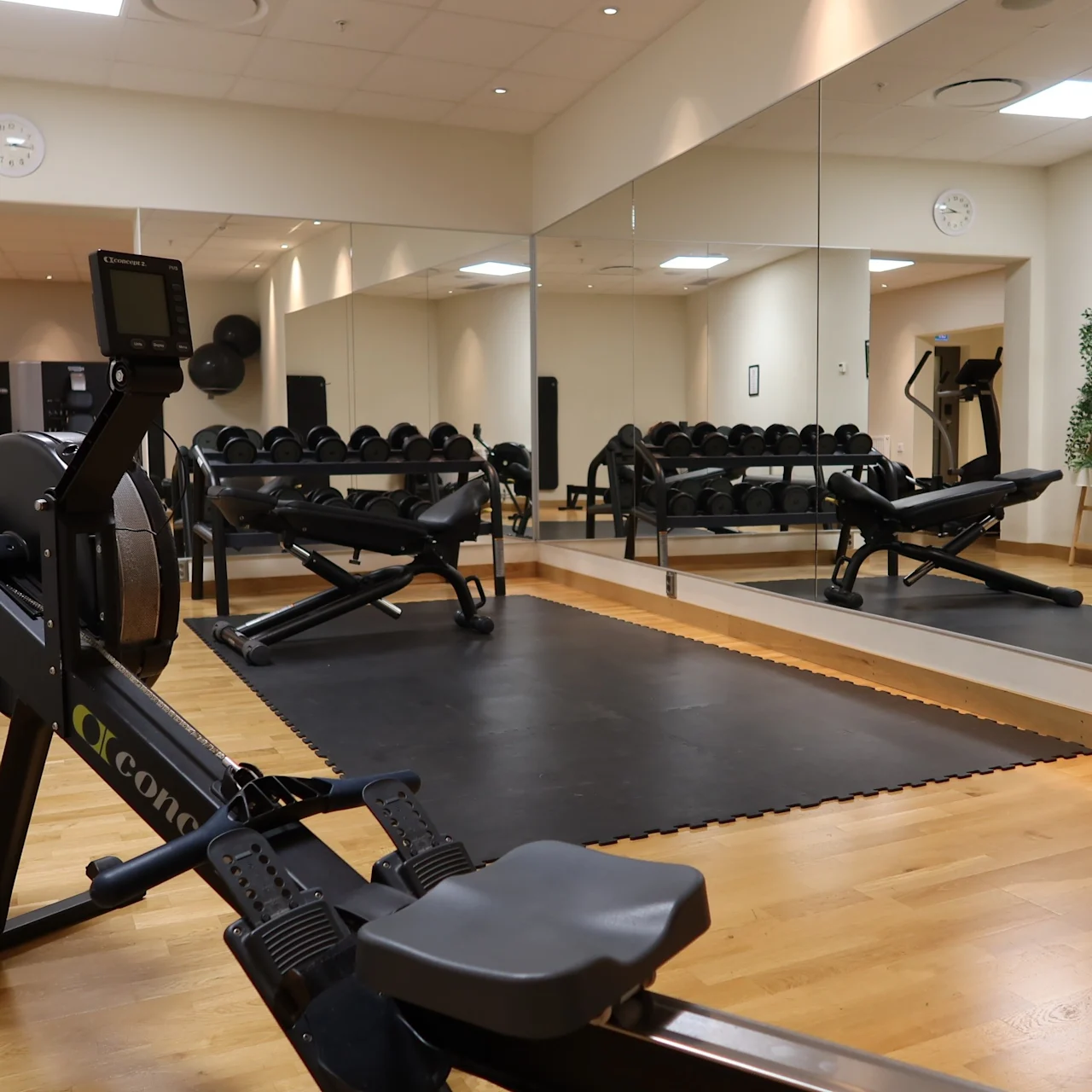 Rowing machine placed on wooden floor, facing large wall mirror, surrounded by weight benches and dumbbells in a gym setting.