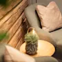 En hyggelig lænestol med en pude står i et hjørne ved siden af et rundt træbord med en lille potteplante, omgivet af træpanelvægge.