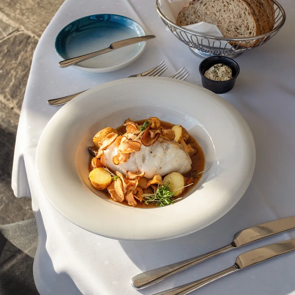 A beautifully presented meal of fish and potatoes on a sunlit table, ready to be enjoyed.