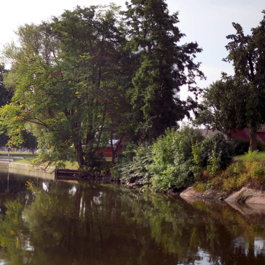 Reflective water with trees on the banks, calm atmosphere in a park-like setting.