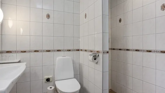 Valkoinen WC istuu pesualtaan vieressä laatoitetussa kylpyhuoneessa. Osittain avoin suihkutila näkyy, ja WC-paperi roikkuu seinällä.