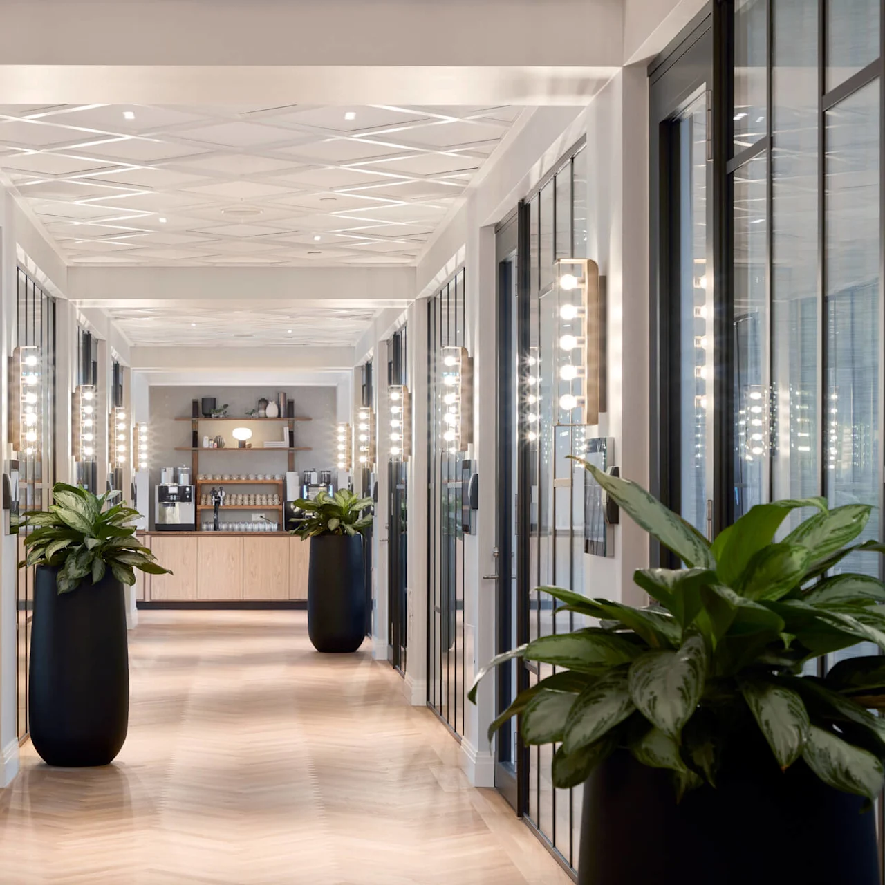 Plants in tall pots line a hallway with bright lights on walls, reflecting off glass doors. Wooden floor leads to a distant shelf holding coffee equipment.