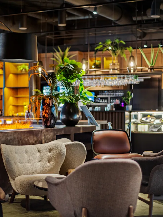 Komfortable stoler står i et moderne kafémiljø med varm belysning, omgitt av planter og en disk fylt med drikkevarer og snacks til salgs.